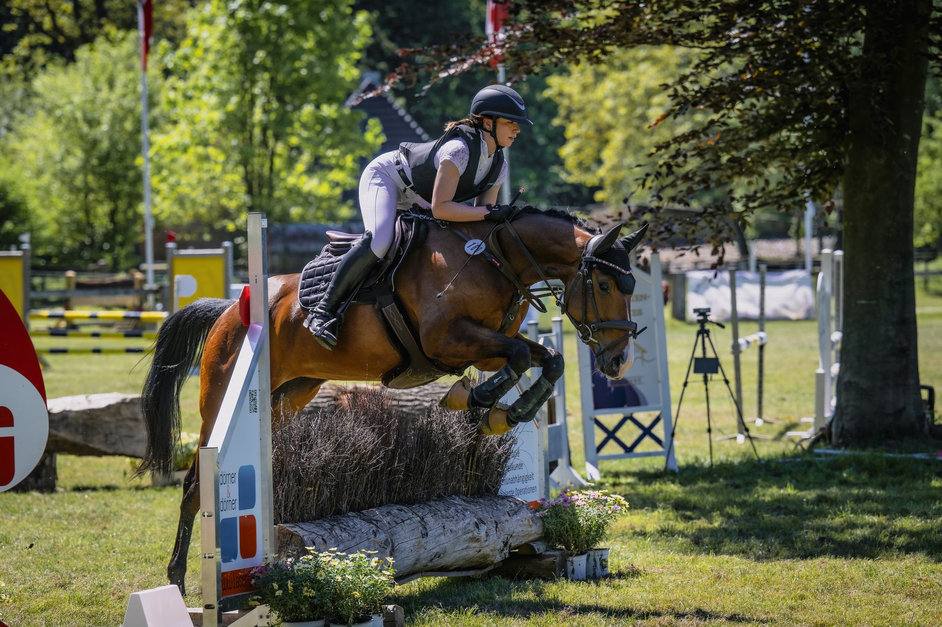 Reiterin beim Springreiten